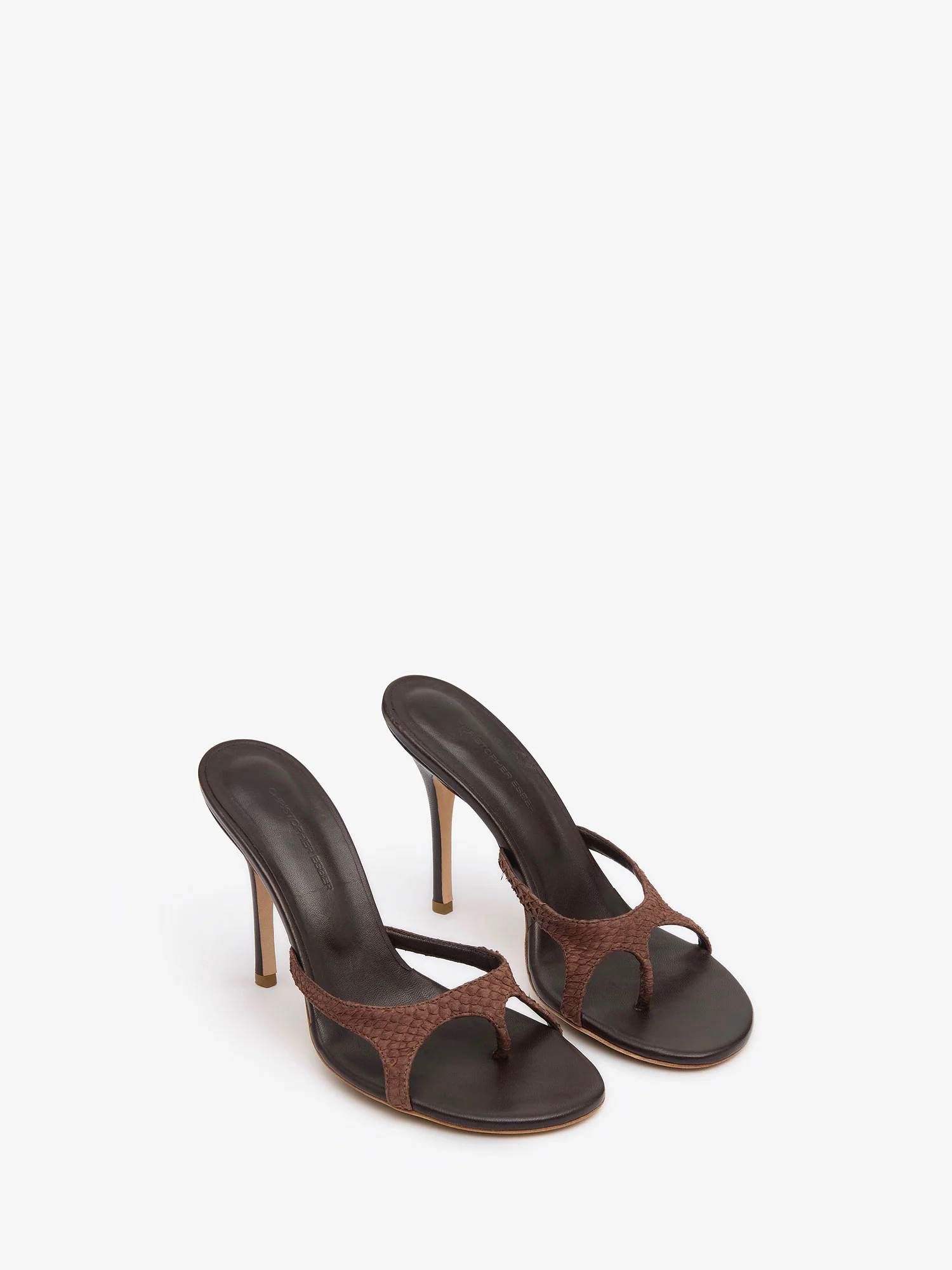 Alocasia Heel - Image 2