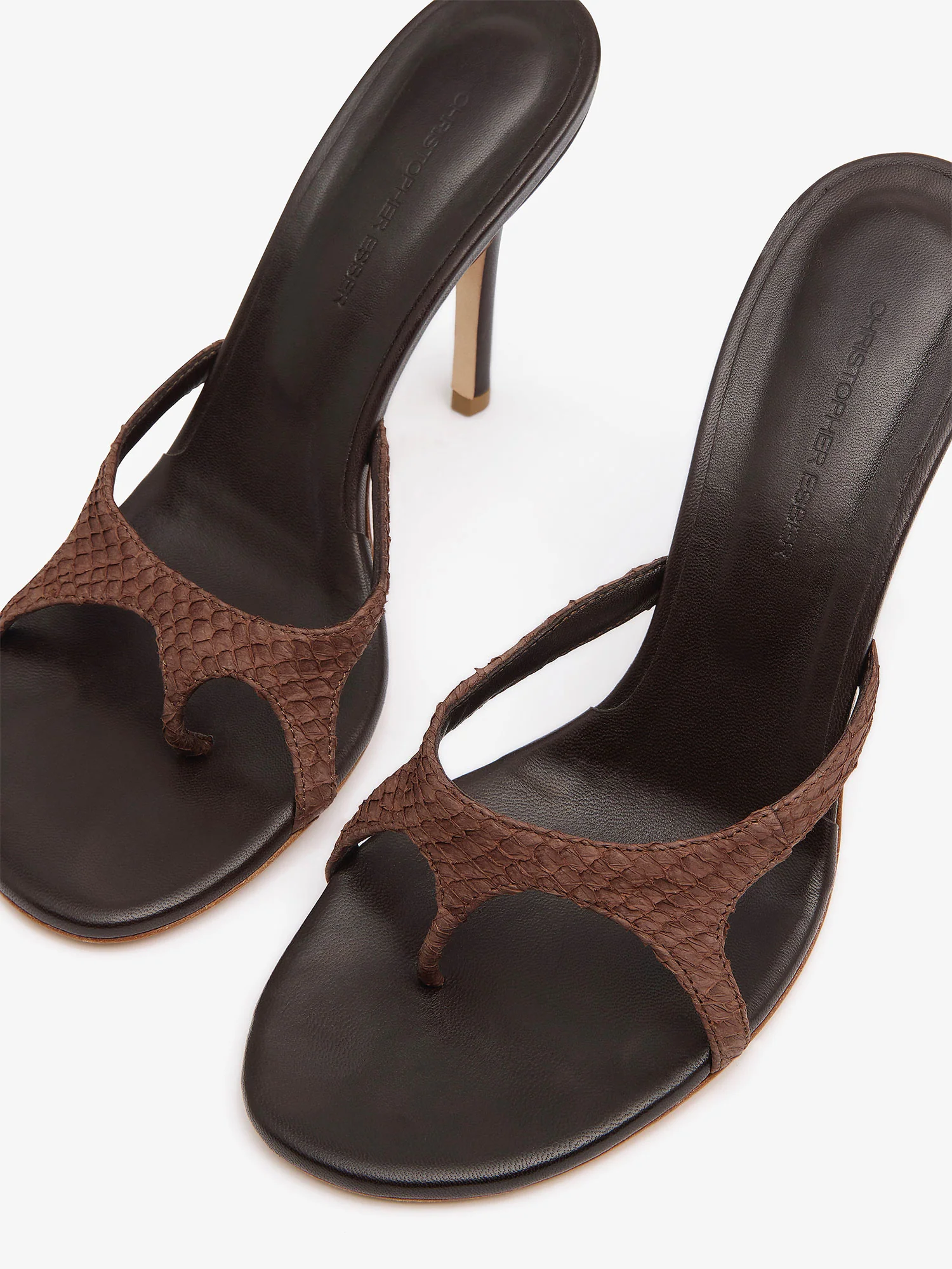 Alocasia Heel - Image 3