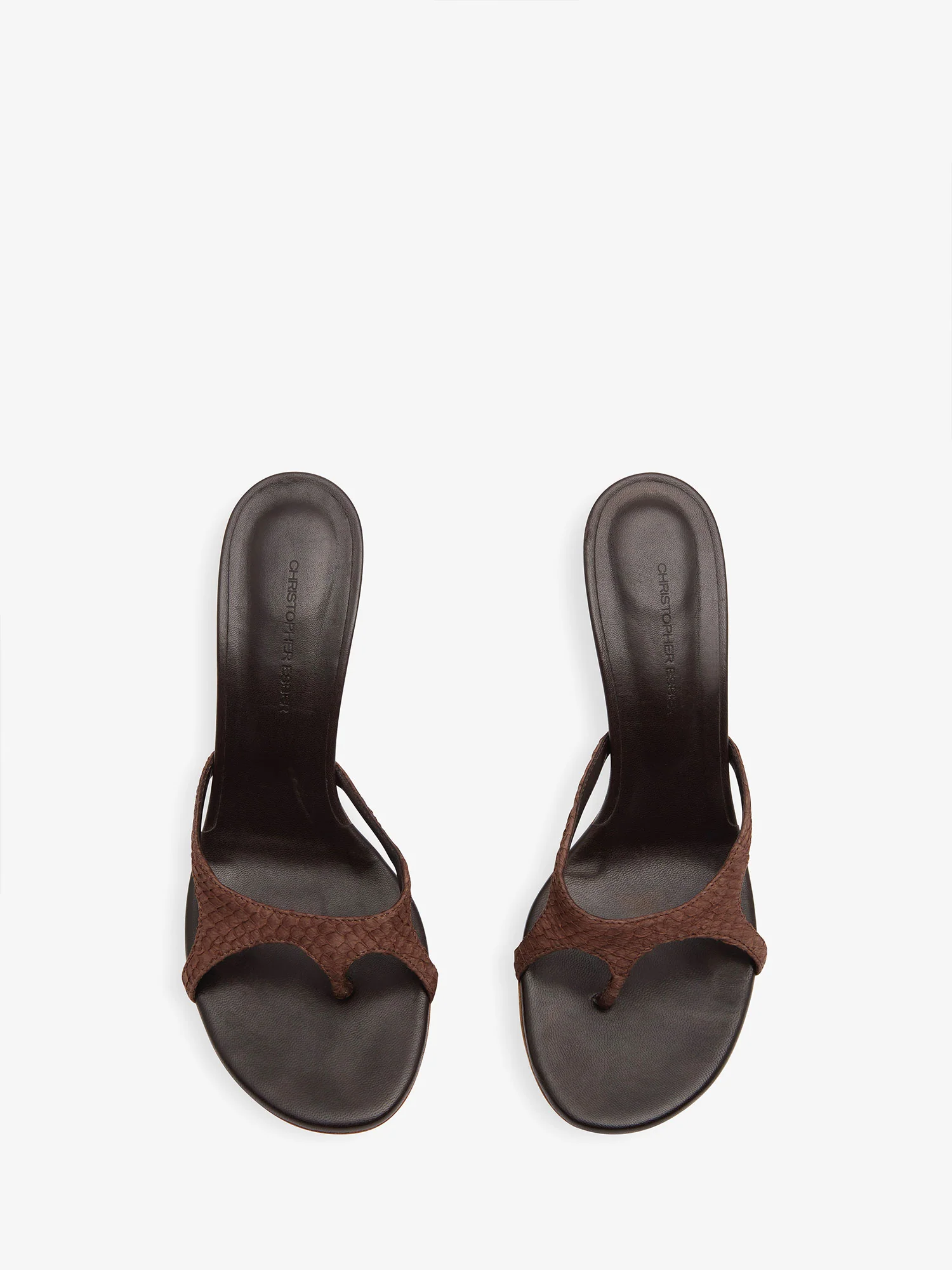 Alocasia Heel - Image 4
