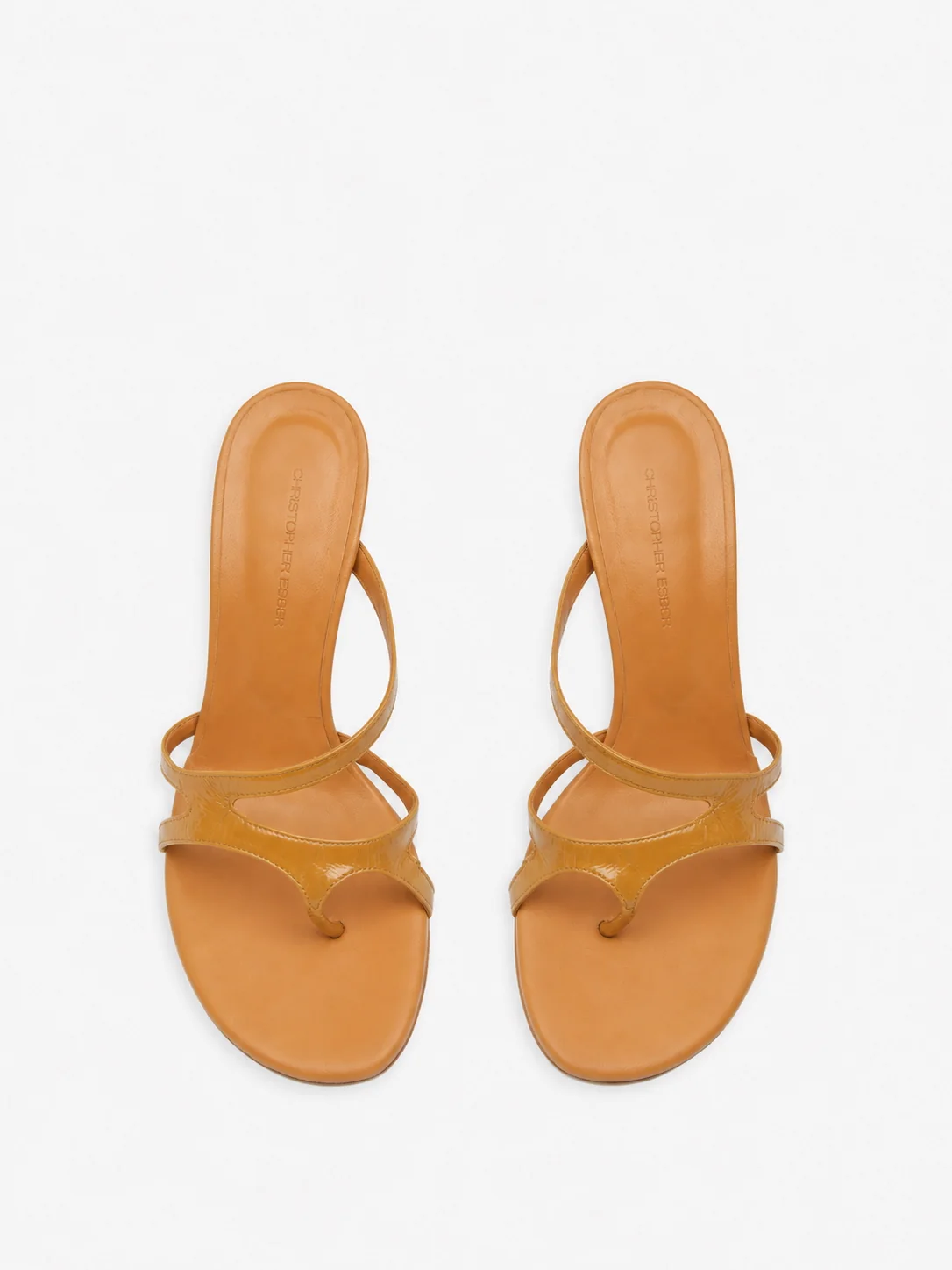 Calathea Heel - Image 4