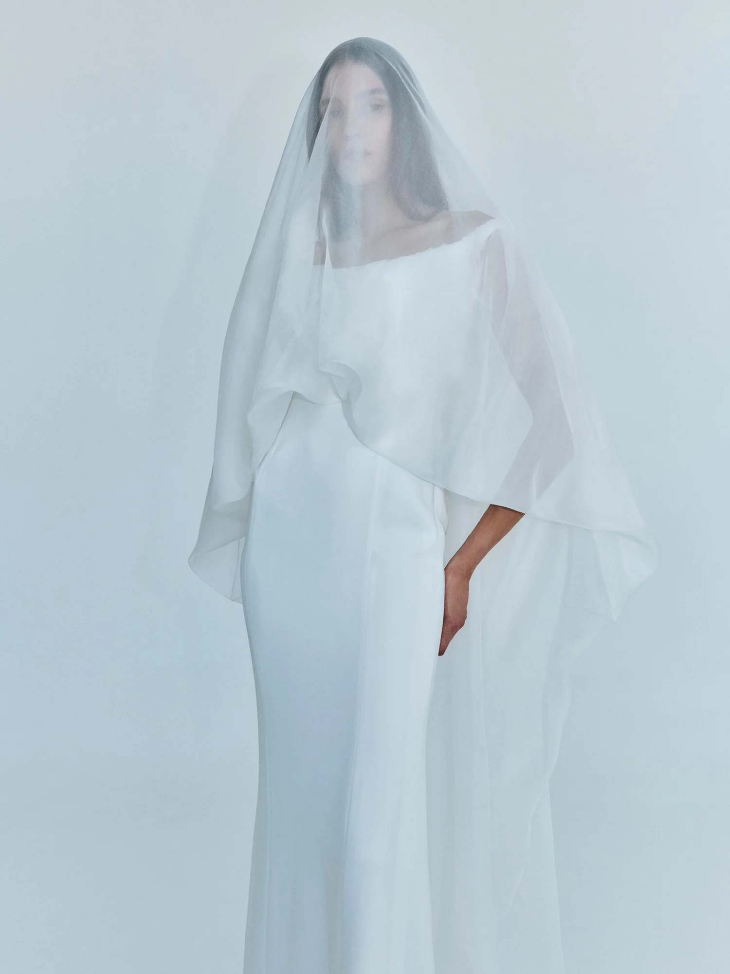 Vapour Overlay Silk Gown - Image 11